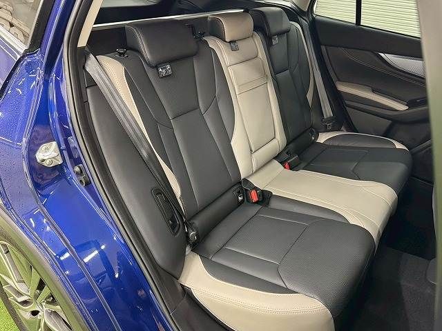LEVORG LAYBACK