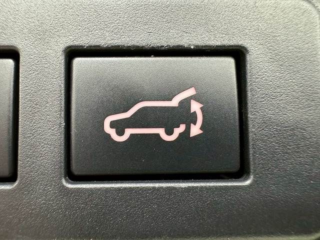 LEVORG LAYBACK