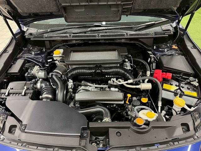 LEVORG LAYBACK