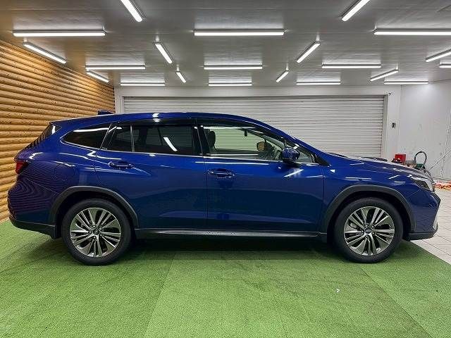 LEVORG LAYBACK