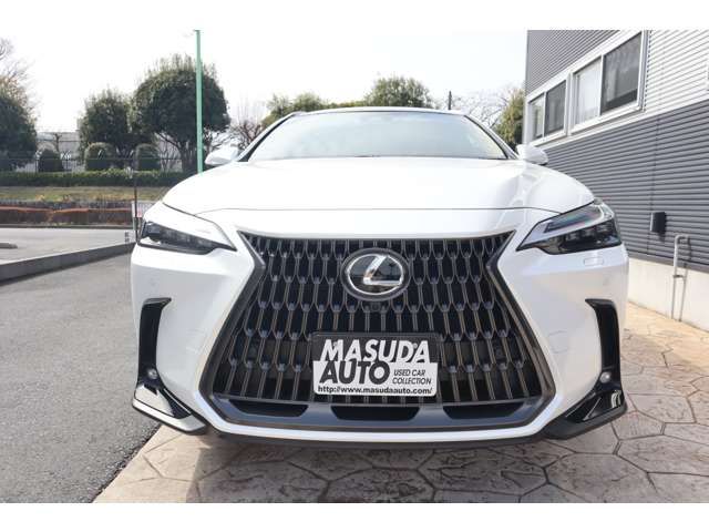 LEXUS NX350h AWD