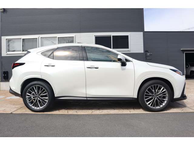 LEXUS NX350h AWD