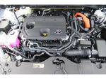 CROWN SPORT