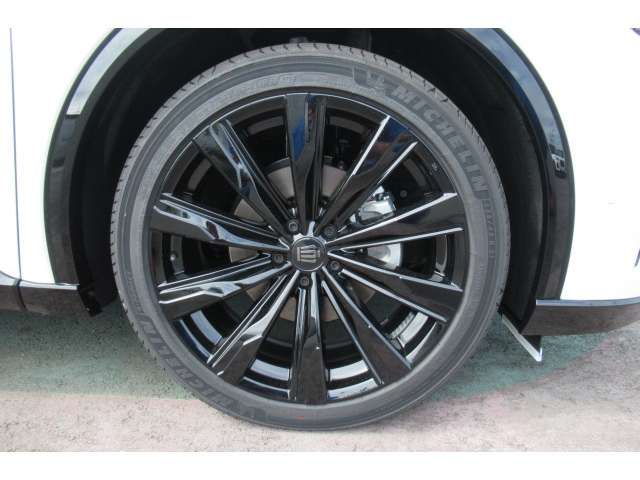CROWN SPORT