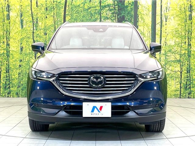 CX-8