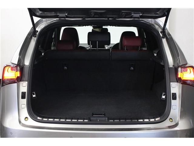 LEXUS NX300h AWD