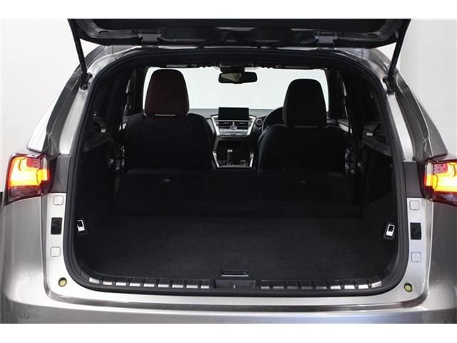 LEXUS NX300h AWD