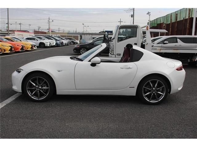 ROADSTER RF