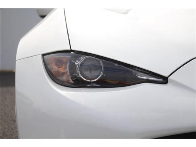 ROADSTER RF