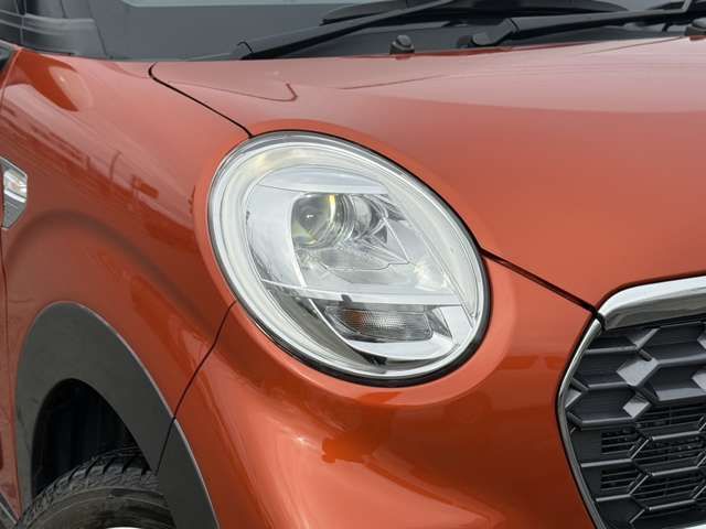 CAST ACTIVA 4WD