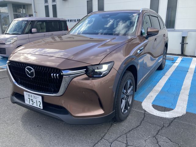 CX-80