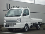 MINICAB truck 4WD
