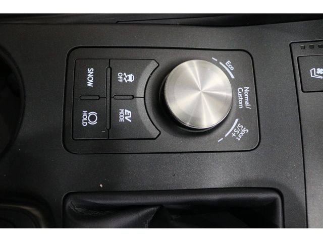 LEXUS IS300h