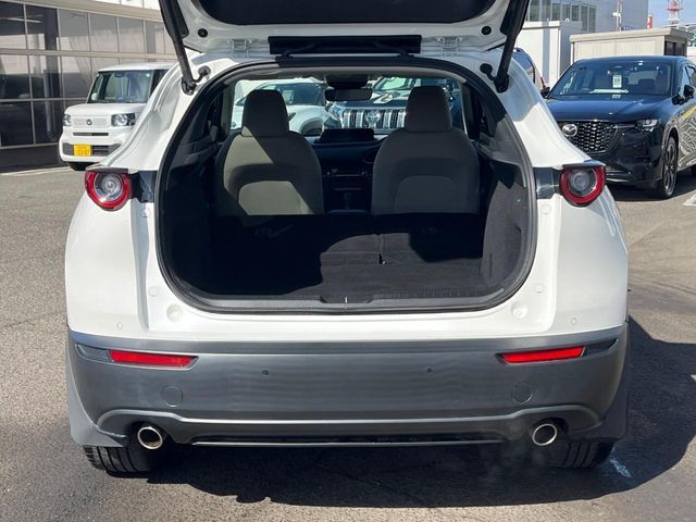 CX-30