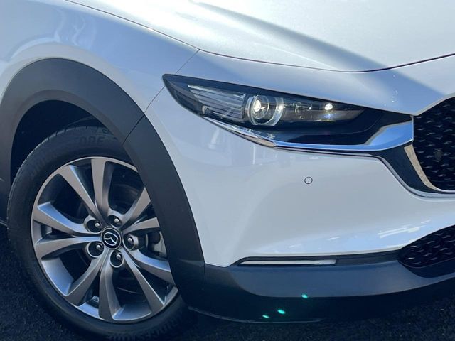 CX-30