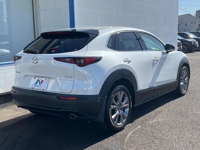 CX-30