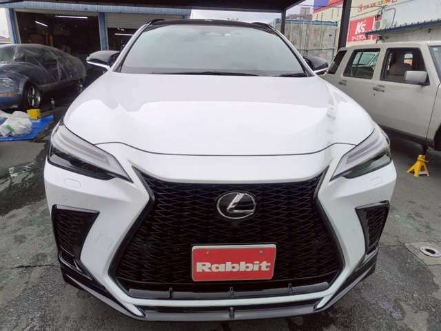 LEXUS NX300h