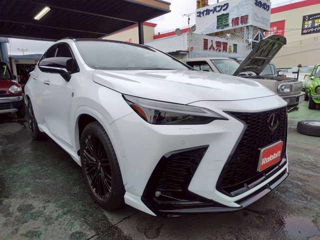 LEXUS NX300h