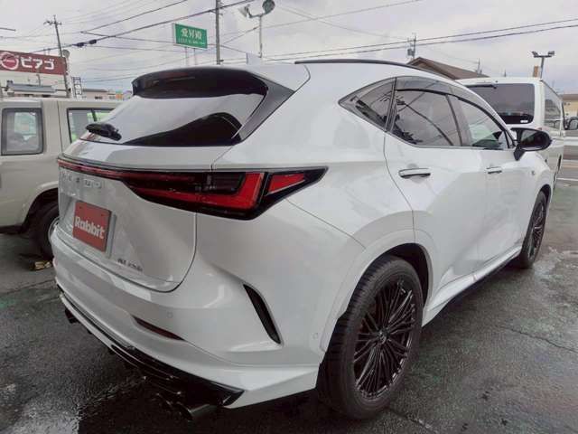 LEXUS NX300h