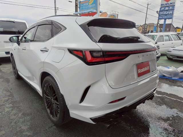 LEXUS NX300h
