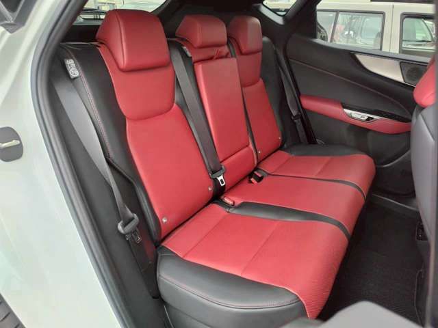 LEXUS NX300h