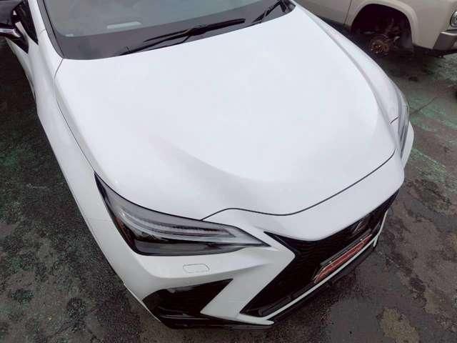 LEXUS NX300h