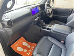 LANDCRUISER 250