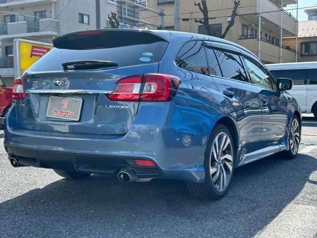 LEVORG