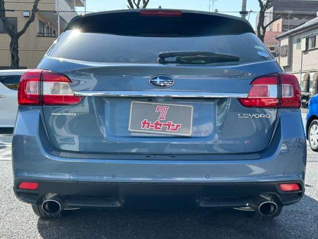 LEVORG