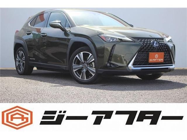 LEXUS UX300e