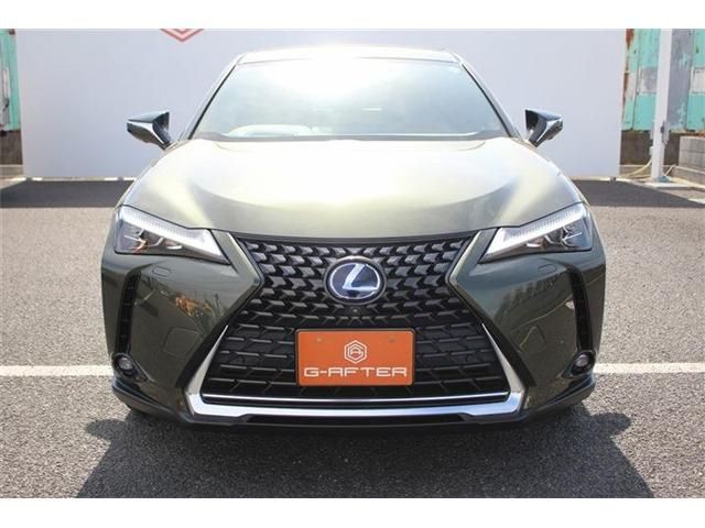 LEXUS UX300e