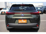 LEXUS UX300e