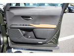 LEXUS UX300e