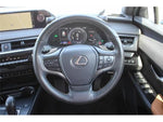 LEXUS UX300e