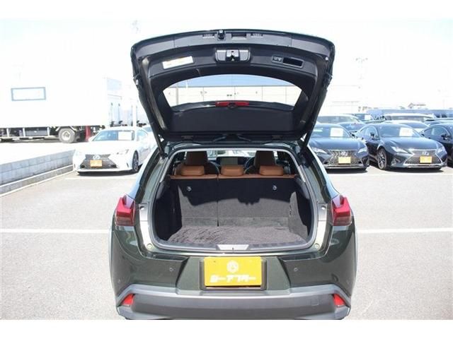 LEXUS UX300e