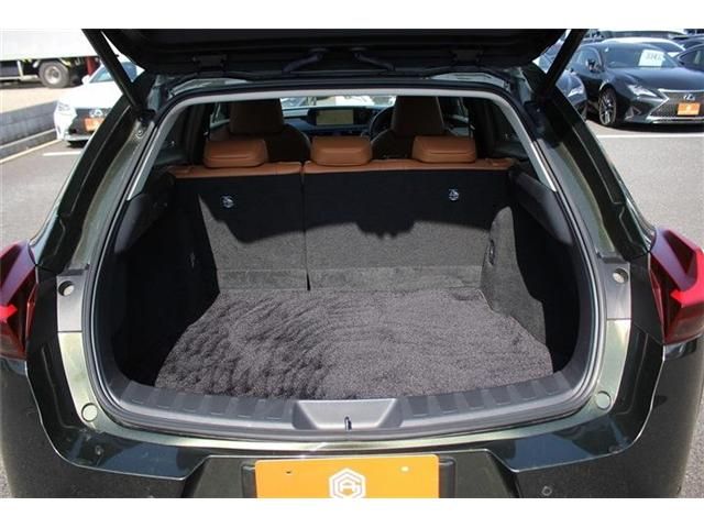 LEXUS UX300e