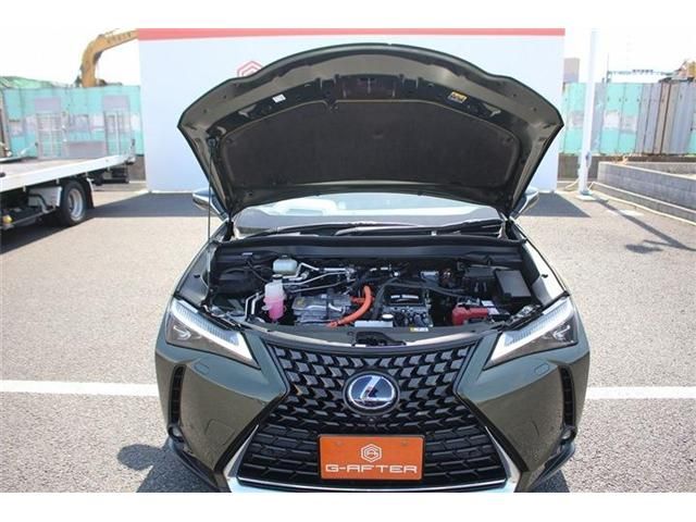 LEXUS UX300e
