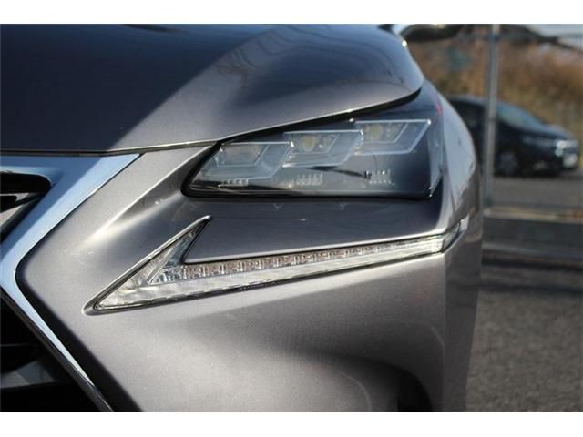 LEXUS NX200t
