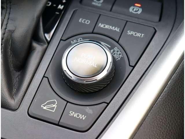 RAV4 4WD