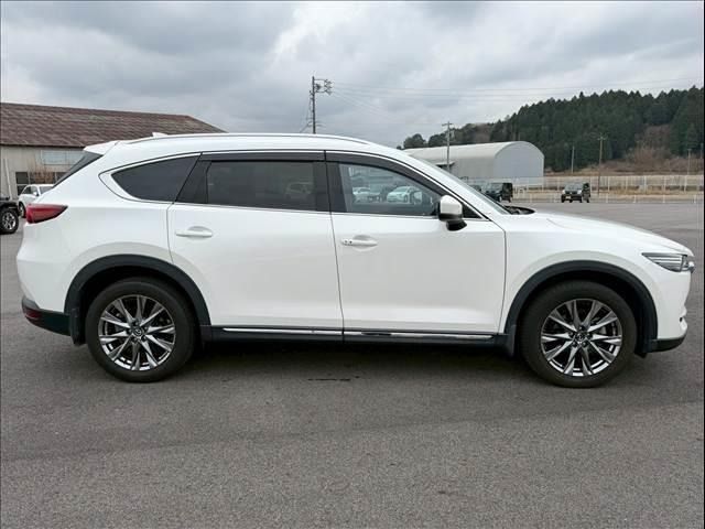 CX-8