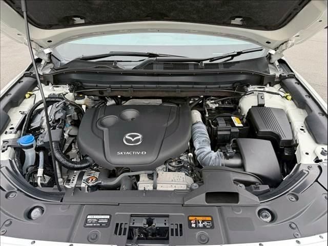 CX-8