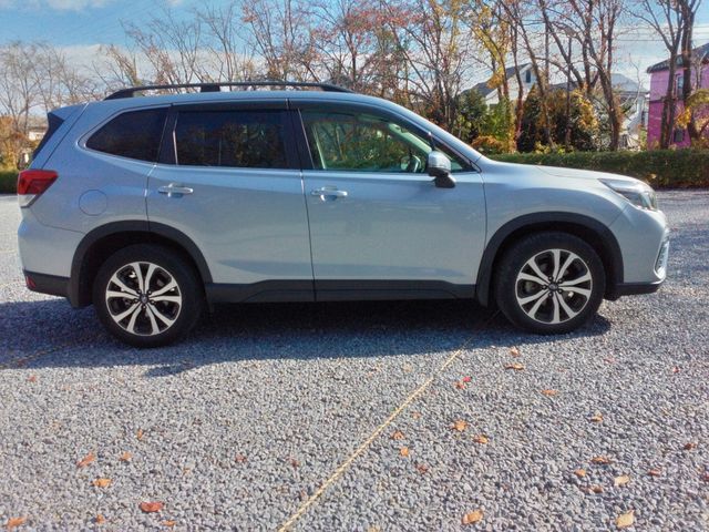 FORESTER