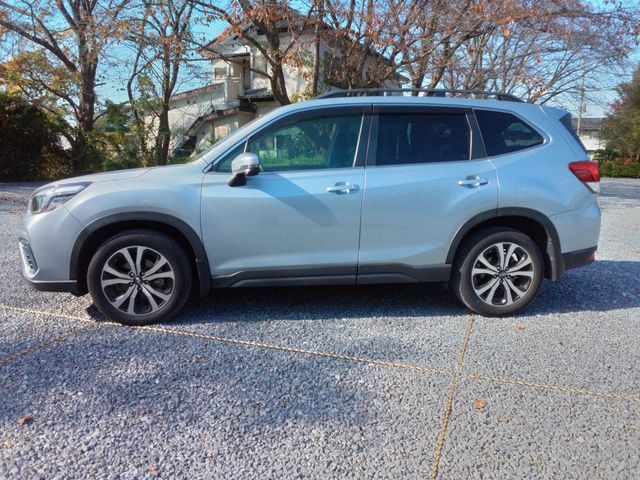 FORESTER