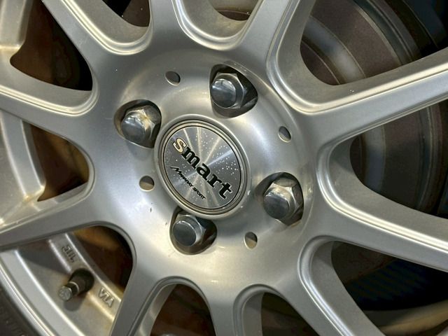 BLUEBIRD SYLPHY