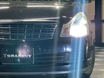 BLUEBIRD SYLPHY