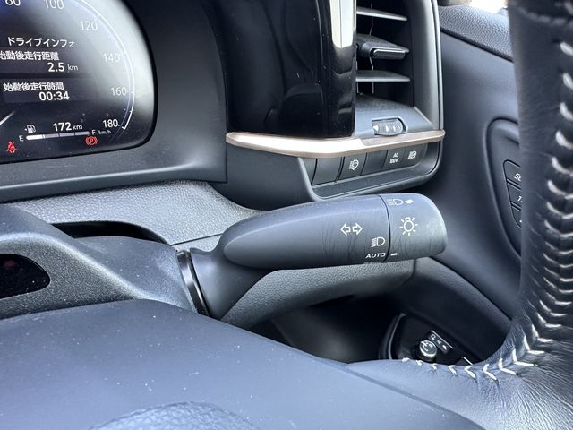 CROWN SPORT