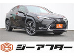 LEXUS UX250h