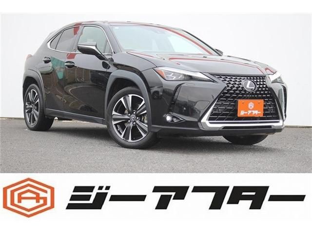 LEXUS UX250h