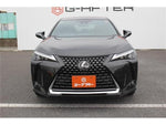 LEXUS UX250h