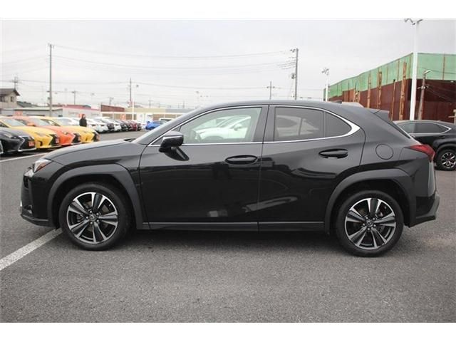 LEXUS UX250h